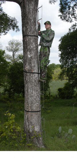 Tree Ladder - Click Image to Close